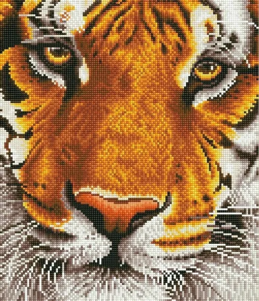 diamond-dotz-adults-bengal-magic-9407-kod-producenta-4897073249407