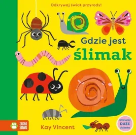 gdzie-jest-slimak-9129