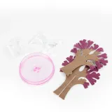 kwitnace-drzewo-sakura-kidea-1122-wiek-dziecka-8-lat