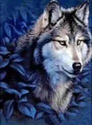 mozaika-diamentowa-wilk-30x40-cm-zestaw-w-pudelku-adar