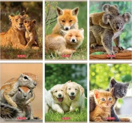 herlitz-zeszyt-a5-32k-linia-podwojna-animals-10-sztuk-papier-70-g-m