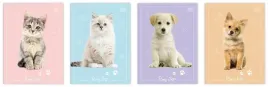 zeszyt-do-slowek-interdruk-a6-32k-puppy-sign-10-sztuk-folia
