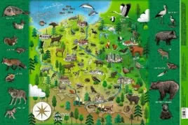 demart-mappuzzle-junior-podkladka-edukacyjna-zwierzeta-polski-364555-mm