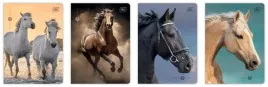 zeszyt-a5-16k-kratka-70g-wild-horses-interdruk-20-szt