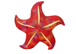 leantoys-poduszka-pluszowa-rozgwiazda-czerwona-20-cm
