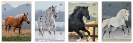 interdruk-zeszyt-a5-32k-3-kol-70g-wild-horses-folia-10-szt