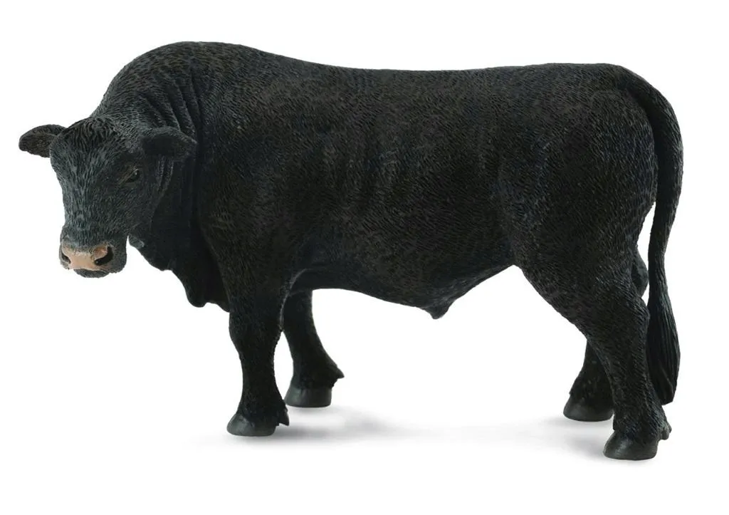 byk-czarny-angus
