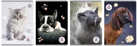 zeszyt-a5-80-kartek-w-linie-the-sweet-pets-beniamin-5-szt