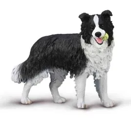 figurka-border-collie-collecta-kolekcjonerska-figurki-edukacyjna-3