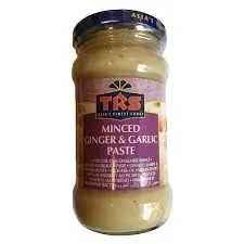trs-ginger-garlic-paste-300g