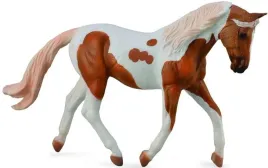 kon-pinto-mare-palomino