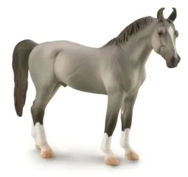 kon-marwari-stallion-szary