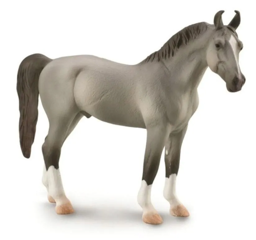 kon-marwari-stallion-szary