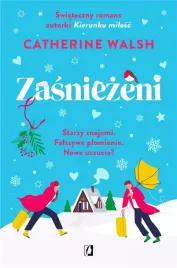 zasniezeni-catherine-walsh-ksiazka-kobiece-komedia-romantyczna