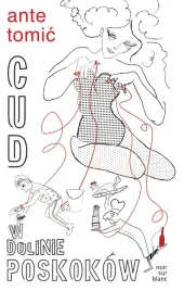 cud-w-dolinie-poskokow-ksiazka-ante-tomic-noir-sur-blanc-2024