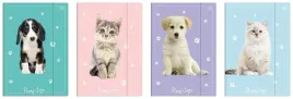 interdruk-teczka-a4-z-gumka-lux-puppy-sign-10-szt-karton-350-g