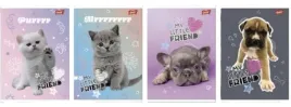 unipap-zeszyt-a5-32k-linia-dwukolorowa-my-little-friend-15-szt