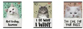 unipap-zeszyt-a5-32k-kratka-caturday-opak-15-szt
