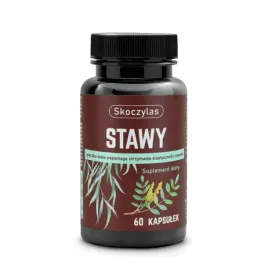 skoczylas-stawy-zdrowe-kosci-i-stawy-60-kapsulek