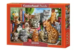 puzzle-2000-dom-kotow-castor-duzy-format-dla-calej-rodziny-92x68-cm