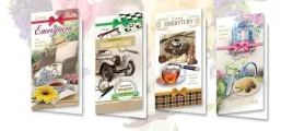 karnet-dl-de-lux-z-brokatem-i-zloceniem-top-graphic-10-szt