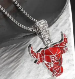 naszyjnik-wisiorek-chicago-bulls-byk-prezent-streetwear