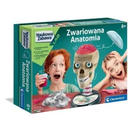 interaktywna-anatomia-skladana-czaszka-zabawa-edukacyjna-dla-dzieci-cle