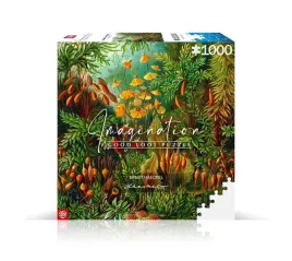puzzle-1000-elementow-muscinae-ernsta-haeckla-good-loot-dla-12