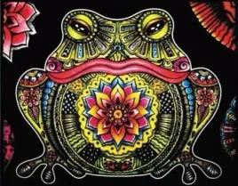 kolorowanka-welwetowa-zaba-47x35-cm-colorvelvet