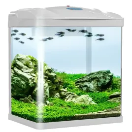 sunsun-hr-320-akwarium-zestaw-bialy-19l
