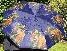 parasolka-skladana-krowa-alex-clark-lekka-3-cz-z-etui-o110-cm