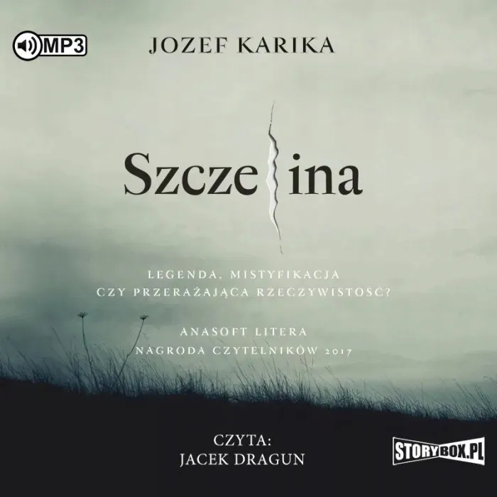 cd-mp3-szczelina