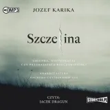 cd-mp3-szczelina-stan-nowy