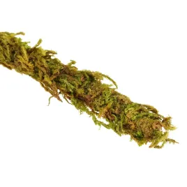 repti-zoo-liana-z-naturalnym-mchem-15cm-x-2m