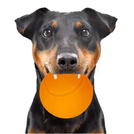happypet-glow-balls-piszczaca-pilka