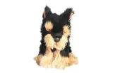 pluszowy-pies-morkie-30-cm-dubi