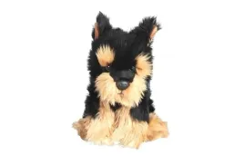 pluszowy-pies-morkie-30-cm-dubi