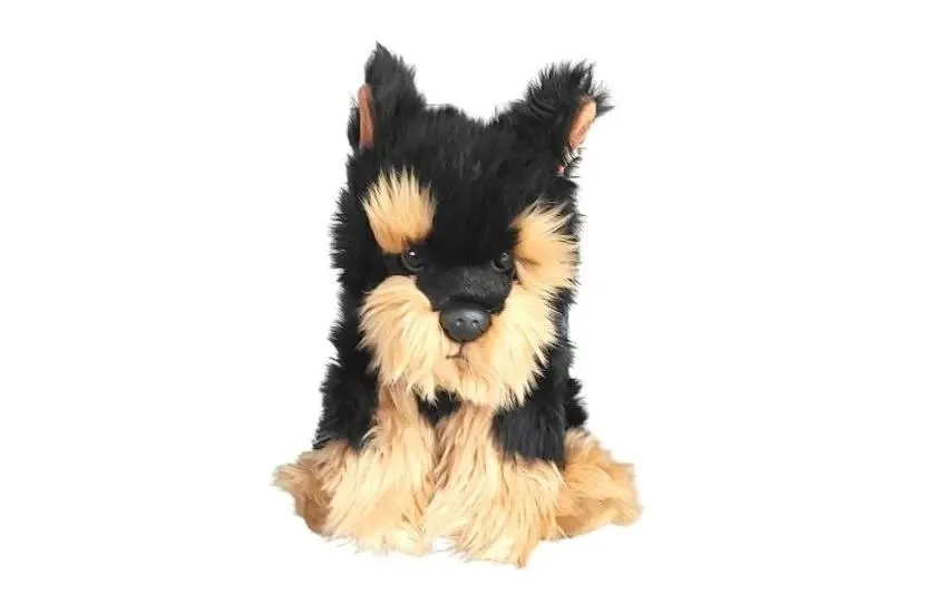 pluszowy-pies-morkie-30-cm-dubi