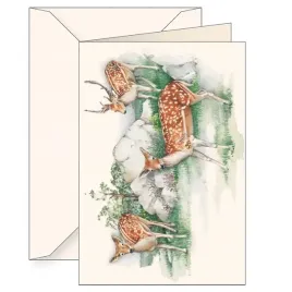 karnet-b6-koperta-6106-jelonki