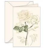 karnet-b6-koperta-6164-biala-roza