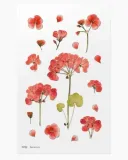 naklejki-ozdobne-kwiaty-geranium-stan-nowy