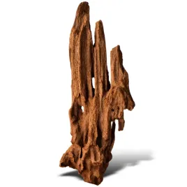 philippines-classic-driftwood-drzewo-mangrowca-z-wody-xxs-ok-10cm