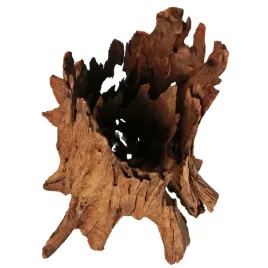philippines-classic-driftwood-drzewo-mangrowca-z-wody-l-30cm-40cm