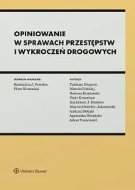 opiniowanie-w-sprawach-przestepstw-i-wykroczen-drogowych