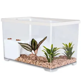 sunsun-turtle-water-box-m-akwarium-dla-zolwia-z-wyspa-i-filtrem