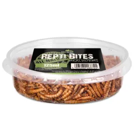 terrario-repti-bites-mealworms-125ml-larwy-macznika-suszone