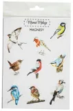 magnesy-ptaki-stan-nowy