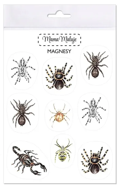 magnesy-pajeczaki