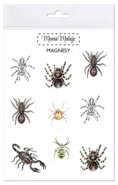 magnesy-pajeczaki