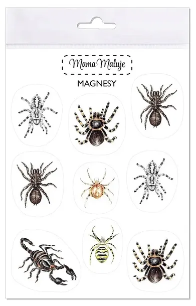 magnesy-pajeczaki-stan-nowy